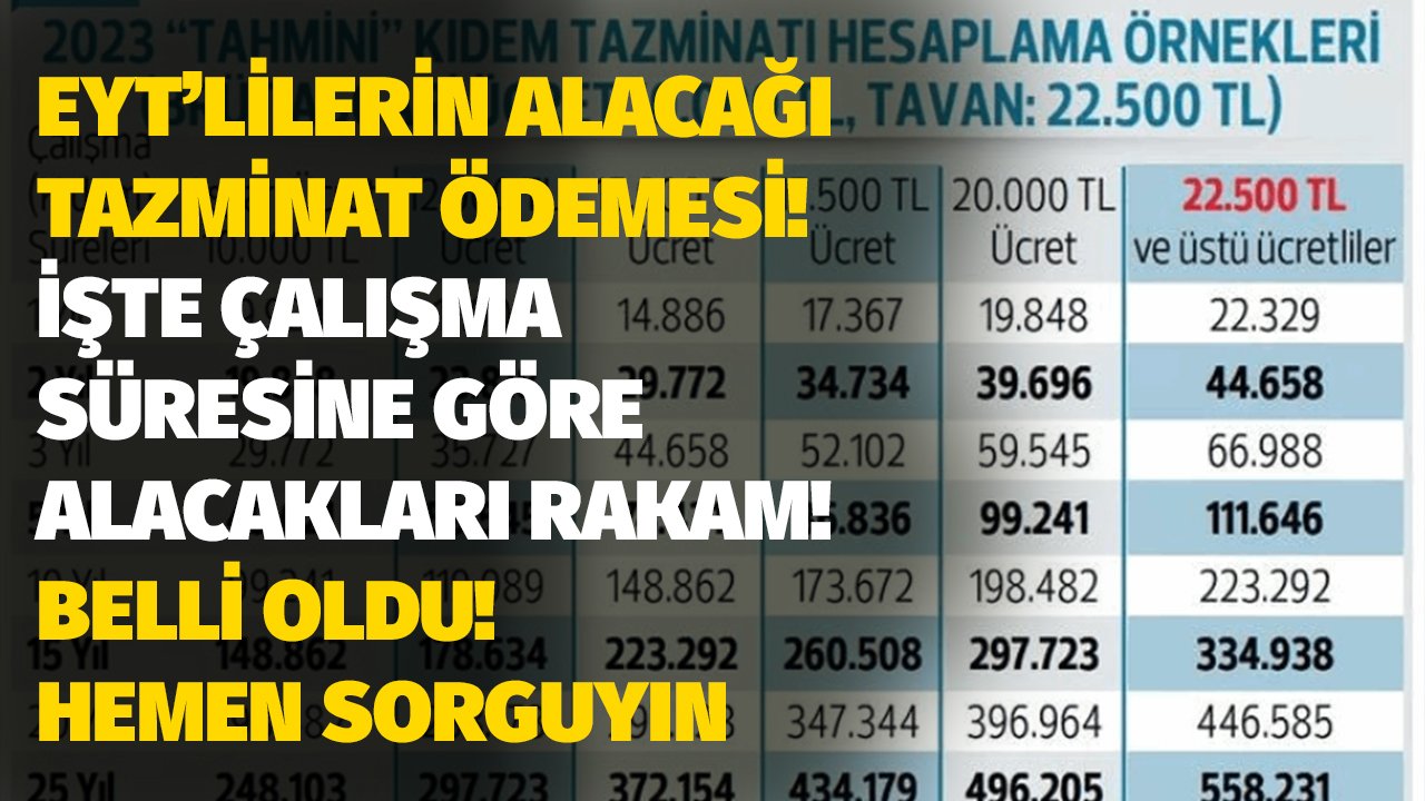 Yeni yılda emekli edilecek EYT lilerin alacakları tazminat rakamları