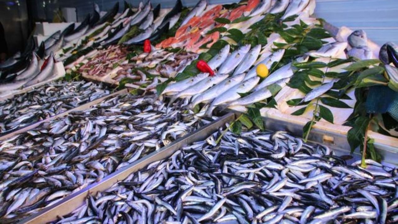 Balık tezgahları doldu taştı: Karadeniz'de balık bolluğu