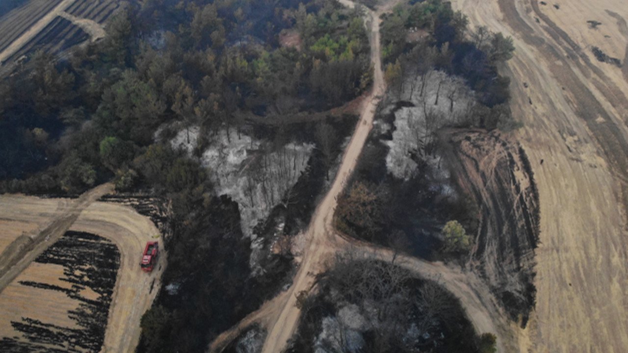Son Dakika! Çanakkale'de çıkan orman yangını nihayet kontrol altına alındı