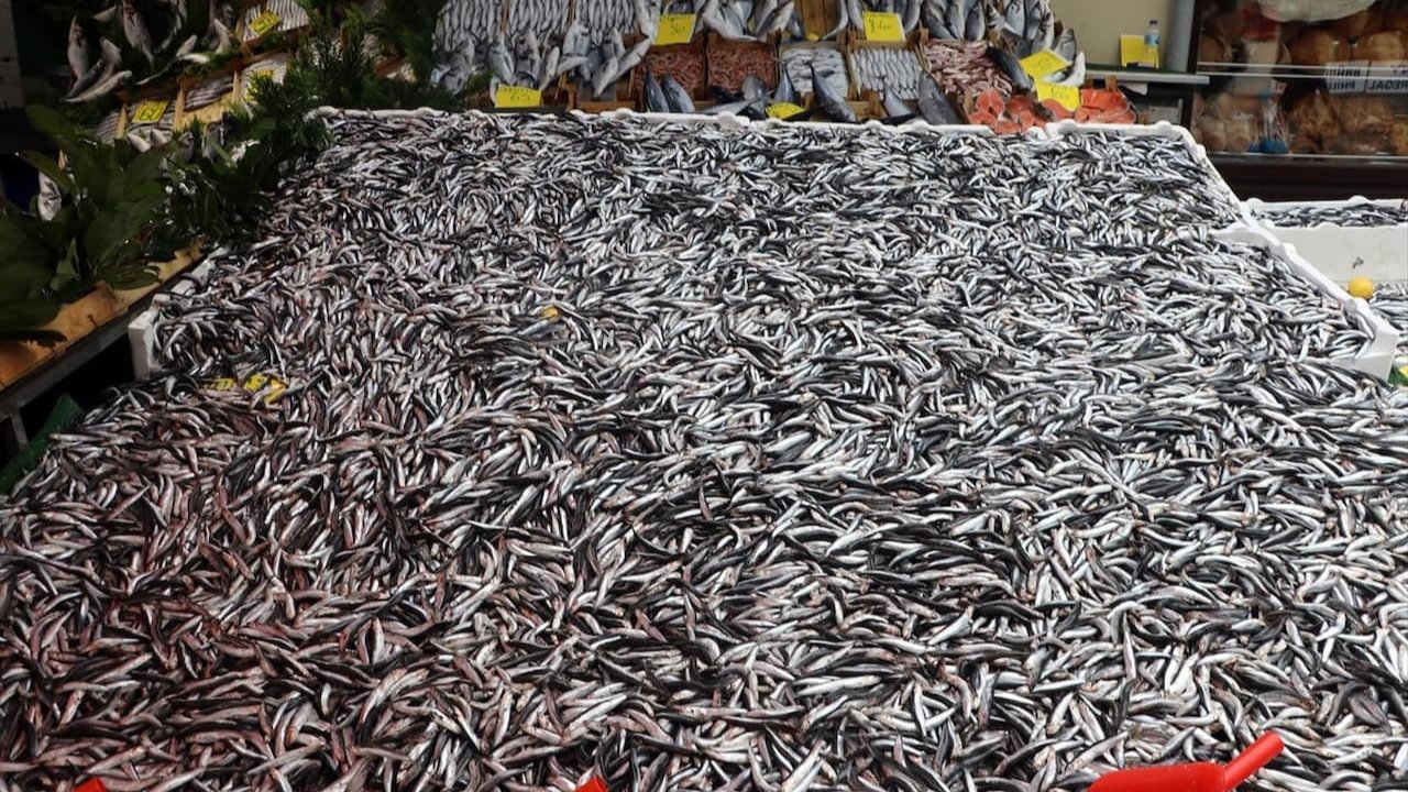 Balıkçılar Hamsi Boykotu Başlattı, Pazarlarda Fiyatlar Fırladı